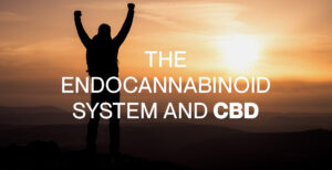 The Endocannabinoid System and CBD