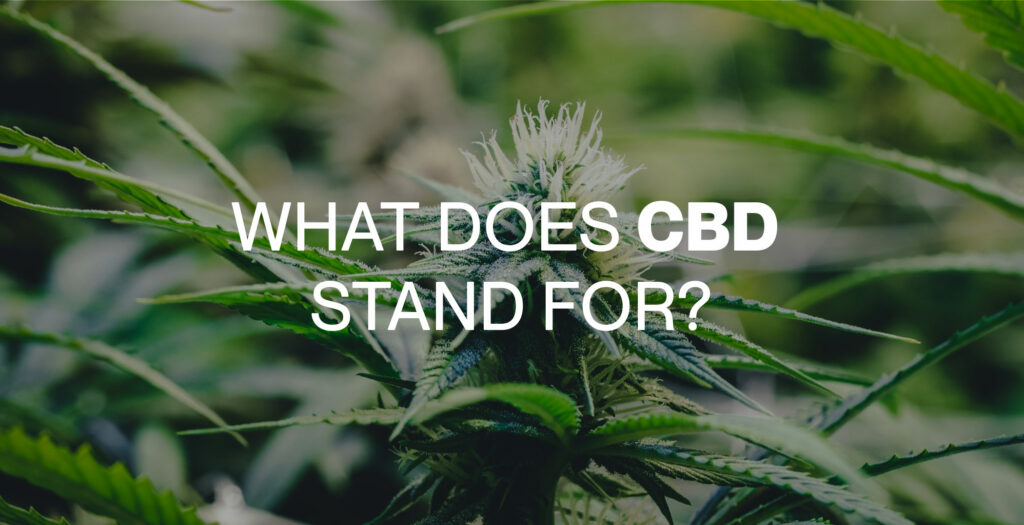 What Does CBD Stand For?